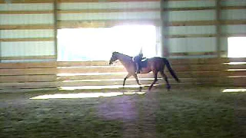 Collette and Mason, warm up trot