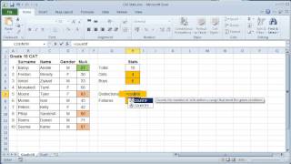 CAT 10 Spreadsheets Office 18 Using Functions III