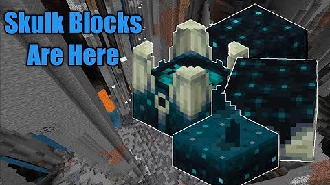 Skulk Blocks Are Here - Beta 1.18.0.22