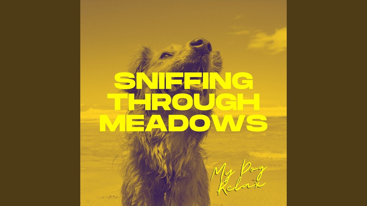 Ver Sniffing Through Meadows en YouTube