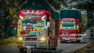 AISYAH ISTRI RASULULLAH | Versi truck tawakkal indonesia story wa