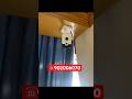 Камера урнатиш хизмати Андижон #установкакамеры #андижон #камера #ipcamera #cctv