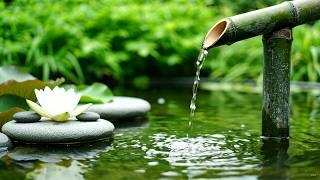 Deep Relaxation Music 🍃 Crystal Bamboo Water Garden and Peaceful Fountain Flow for Gentle Healing screenshot 5