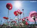 ERNESTO CORTAZAR - When I see the sky