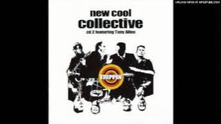 new cool collective-son of cha cha