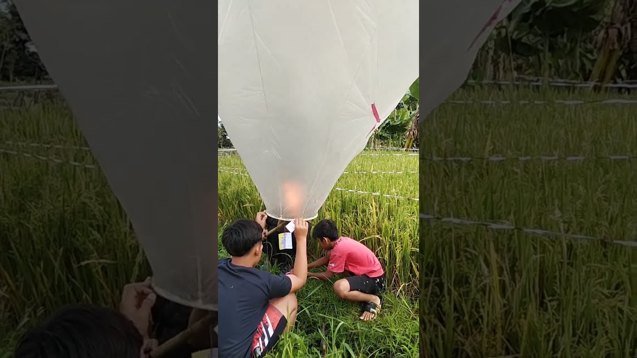 Balon terbaru magelang 🔥#fypシ゚viral #balondeso