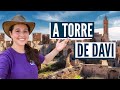 QUEM CONSTRUIU A TORRE DE DAVI?