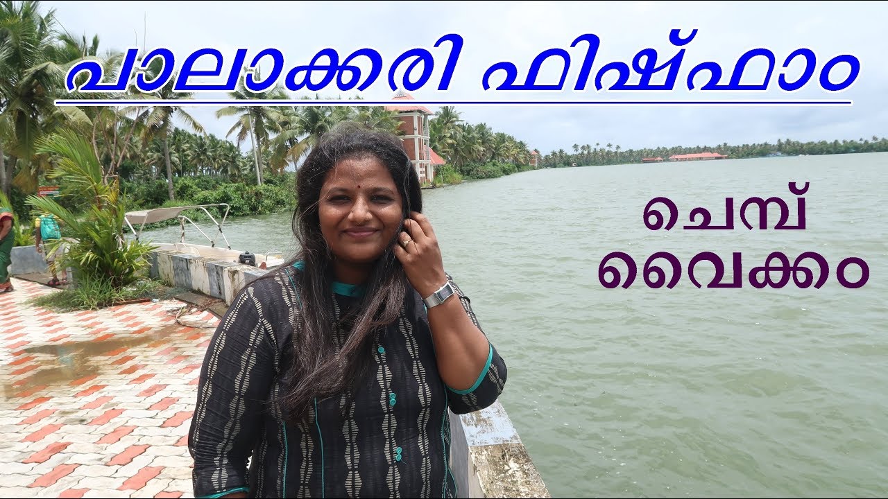 Palakkari Fish Farm Aqua Tourism Vaikom Kottayam YouTube