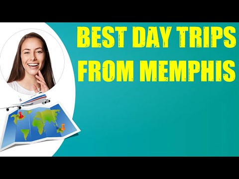 Video: De 8 beste Memphis Tours van 2022