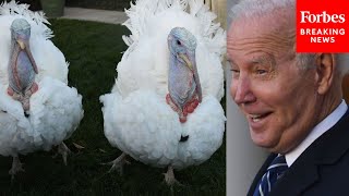 Biden Pardons Thanksgiving Turkeys Peanut Butter and Jelly