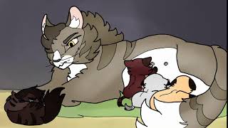 Broken heartsYellowfang and Leafpool MAP part 13