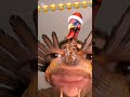 داندوا اكسبلور اهميه   اعتني  دويتو شلتنا  المراه
