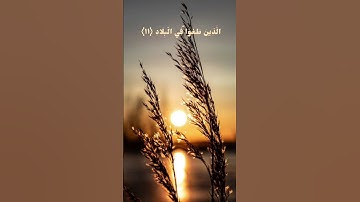 سورة الفجر #follow #like #subscribe #foryou #instagram #life #new #reels #story #tiktok