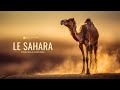 Ref:3_KTCaagysA Sahara   le d�sert o� seuls les plus forts survivront | documentaire animalier