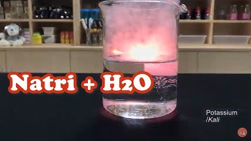 Natri và Kali phản ứng với nước như thế nào?