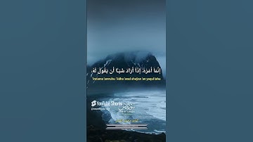 تلاوة هادئة تريح القلب  🌸🍂😇 القارئ محمود الهمص 🎧🎙️🤎