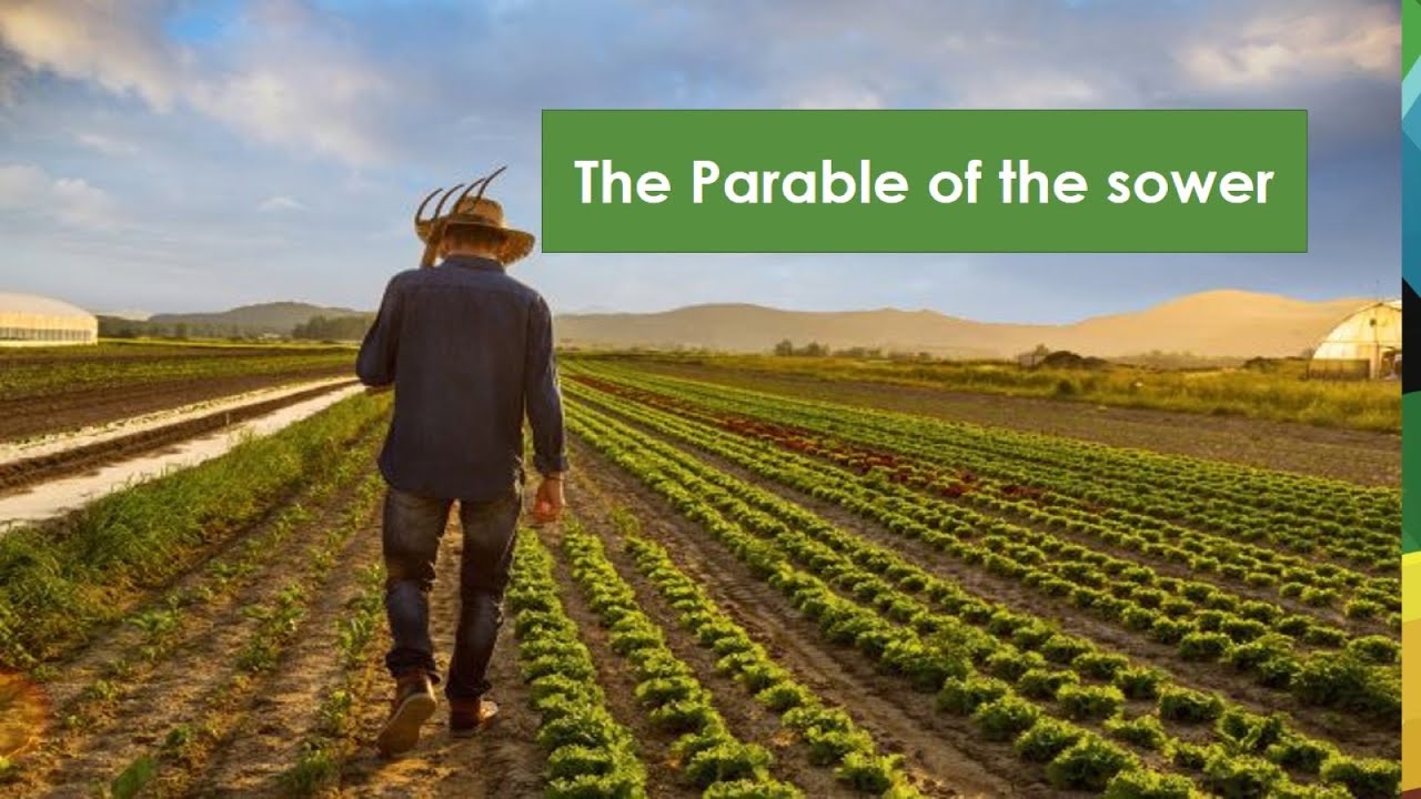 The Parable of the sower (Mark chapter 4 - YouTube