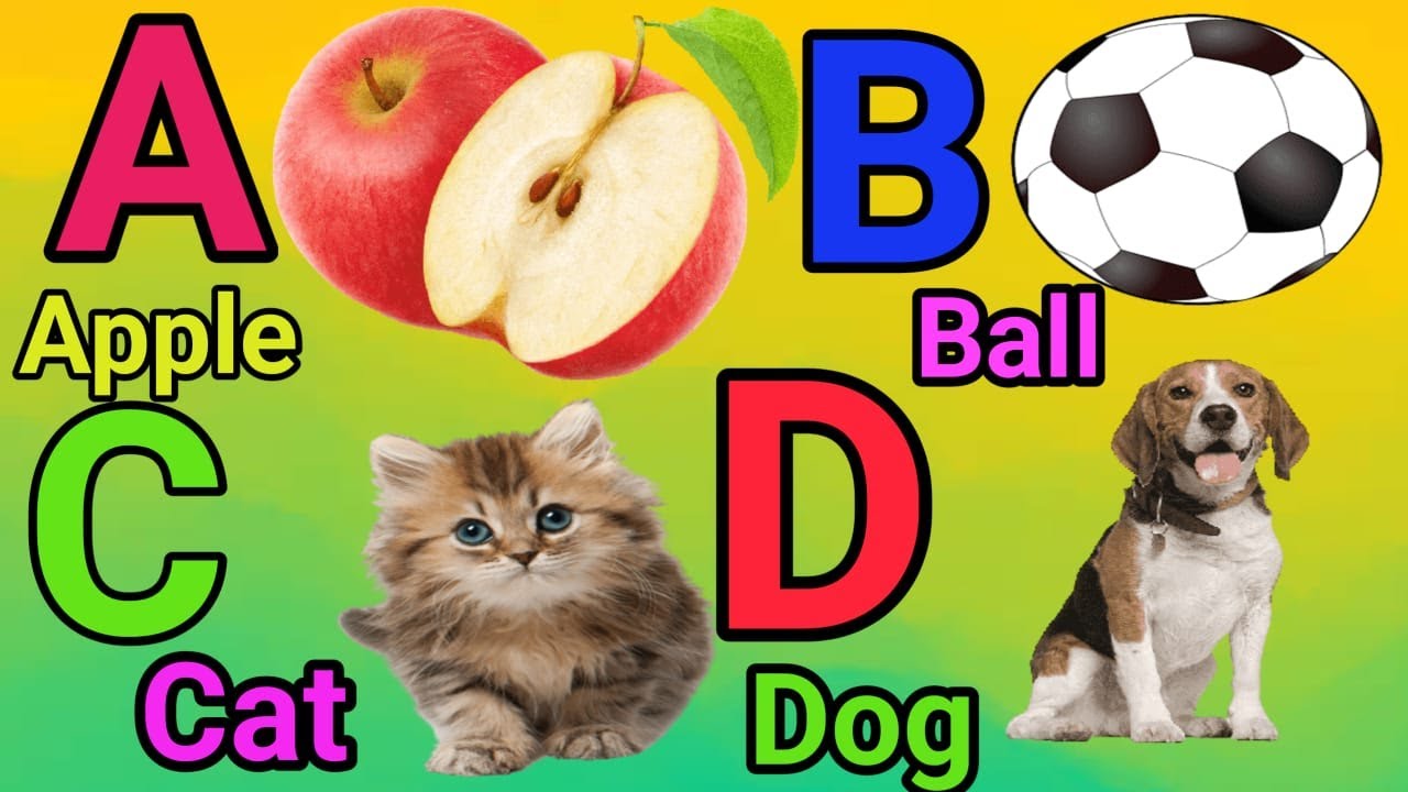 A FOR APPLE B FOR BALL C FOR CAT D FOR DOG TO Z | abcd | alphabet | a ...