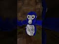 late jmancurly see this @jmancurly #gorilla #gorillatag #vr #beginner #shorts