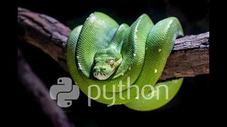 Listas y Funciones Estadísticas en Python