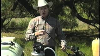 Brush Busters: How to Beat Mesquite