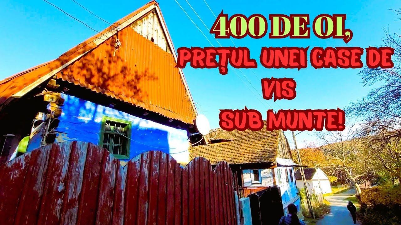 Cum arată casa ciobanului construită după vanzarea a 400 de oi. Trăinei, cătunul cu doar 7 familii.