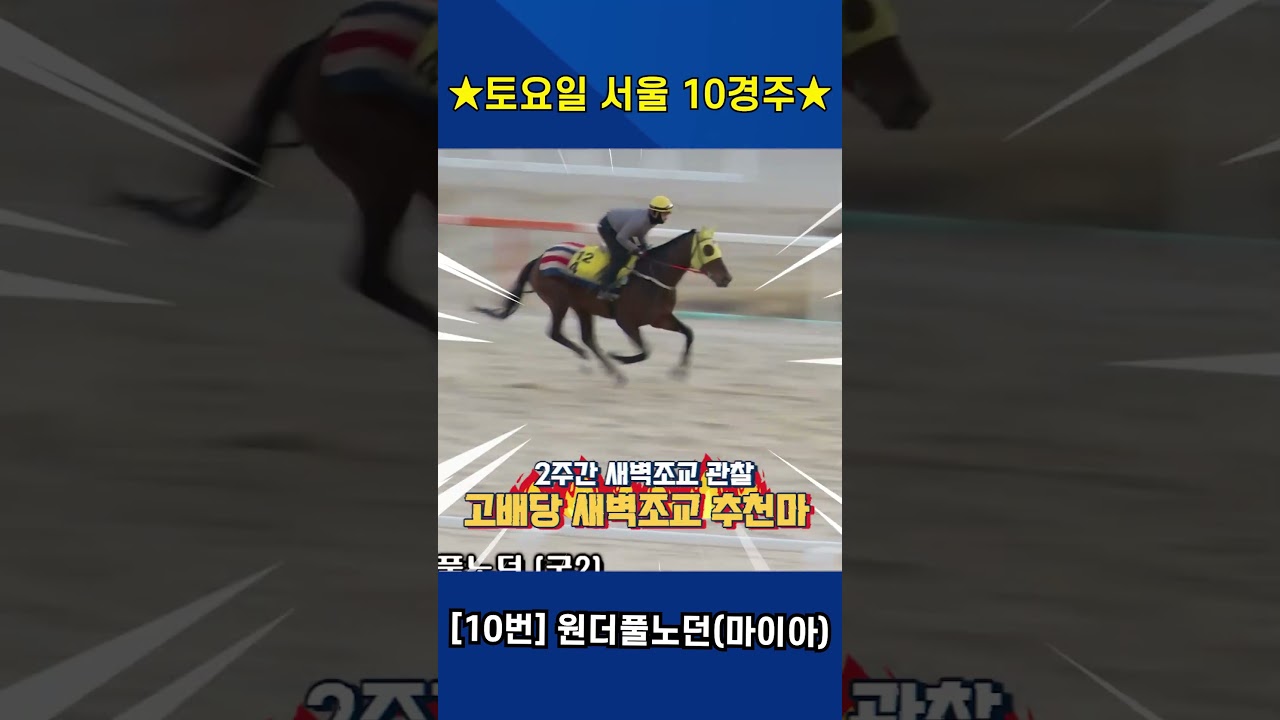 2월28일 토요일 서울 10경주!! 2주간 훈련변화 보인 강백호의 새벽조교 쏘스마!!#강백호경마 #shorts