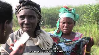 Women of the wetlands