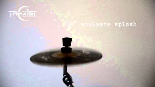 Trexist Cymbals 10 Soulmate Splash