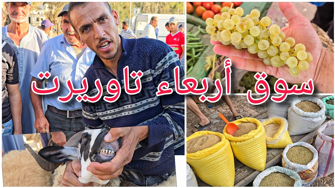 جولة في السوق الأسبوعي أربعاء تاوريرت_الحسيمة حيث تعرض بعض منتوجات الفلاحين المحليين 