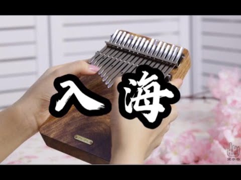 【b站毕业歌】拇指琴翻弹毛不易《入海》祝大家前程似锦，奔涌吧后浪！