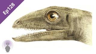 Episode 128: Coprolite Inclusions Pt2