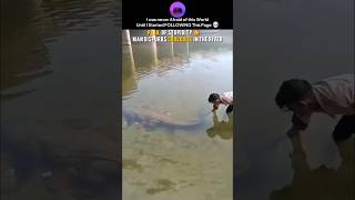 I was never Afraid of this World Until I Started FOLLOWING this Page💀 #shortsfeed#cliporax#crocodile