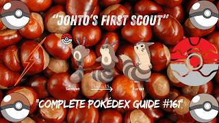 The COMPLETE Sentret Pokédex Database | Stats, Abilities, Evolution & More!
