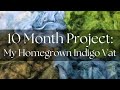 From Seed to Vat: Making Organic Indigo Dye with Homegrown Pigment
