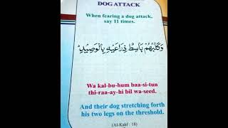 #Dua for Dog Attack @Raha-x6m3e