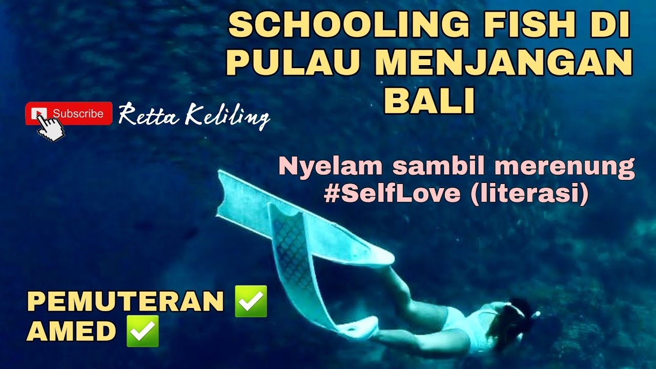 GOKIL BANYAK BANGET IKANNYA di Pulau Menjangan!😍 Keliling ke Pemuteran ( Freedive Indonesia )