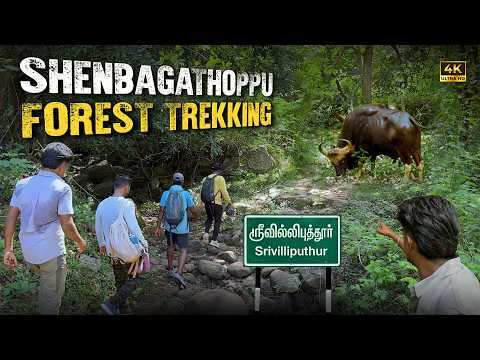 🐆 சிறுத்தை Pugmark, காட்டெருமை & மான் சந்திப்பு | Shenbagathoppu Trek Easy ? ஆனால் செம்ம Adventure!