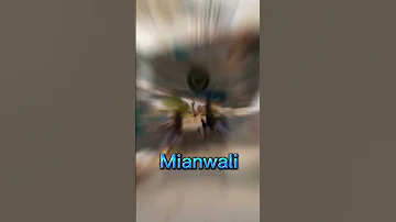 Mianwali Railway Station Shorts 