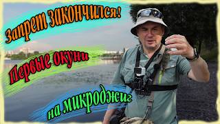 Запрет закончился! Первые окуни на микроджиг