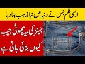 Why is this little pocket of jeans made and Other Top Random Facts | BRAIN FACTS