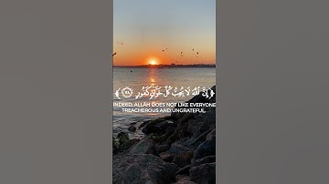 🌿تلاوة من سورة الحج 🌿القارئ هيثم الدخين 🌿