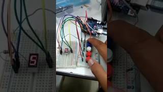 Celebrity Button Switch with 7 segment Profile