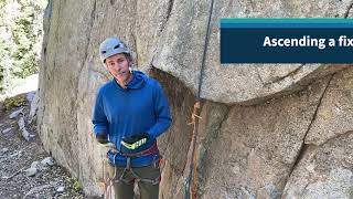 Ascending a fixed rope using prusiks