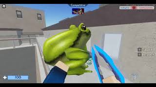 The Frog Event And The Frog Was Thicci Do Not Know How To Edit - Audio Might Be Bad To -