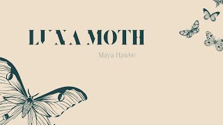 [Vietsub + Lyrics] Luna Moth - Maya Hawke