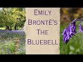 Emily Brontë’s The Bluebell - Poetry, walking & sunshine