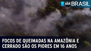 Focos de queimadas na Amazônia e Cerrado são os piores em 16 anos | SBT Brasil (06/07/23)