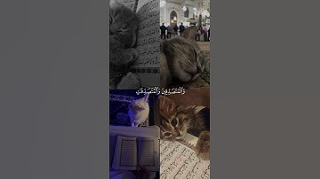 إِنَّ الْمُسْلِمِينَ وَالْمُسْلِمَاتِ #تلاوة_خاشعة #triding