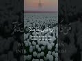 Listen to Ayat Ul Kursi Before You Sleep | Life-Changing Recitation